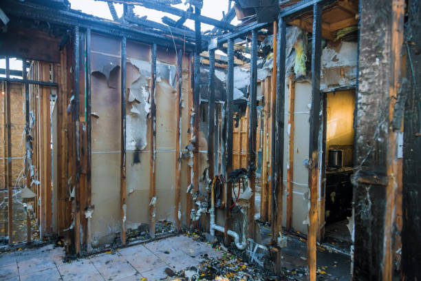 Professional Odor Removal technician working in Montgomery, IN